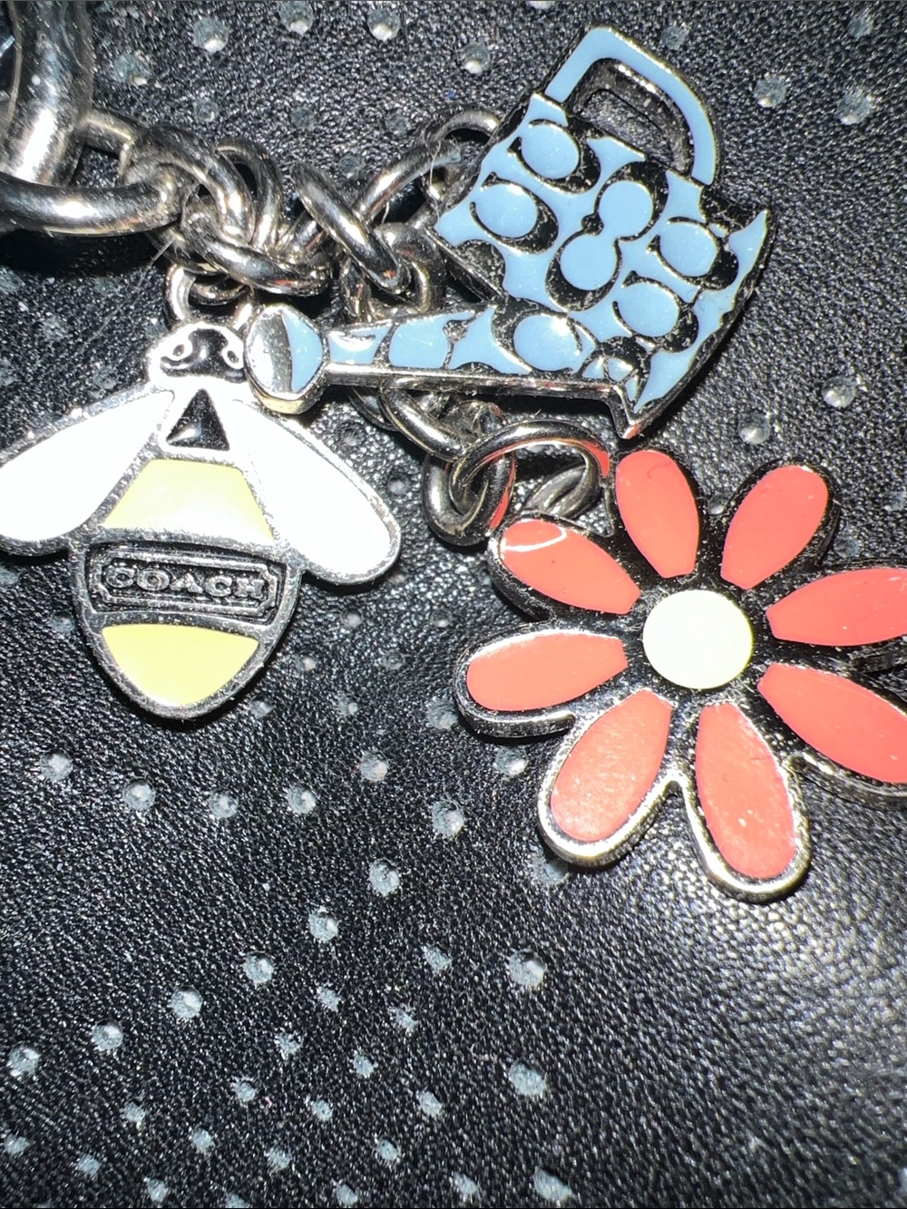 Coach Spring Theme Keychain - Picture 3 of 4
